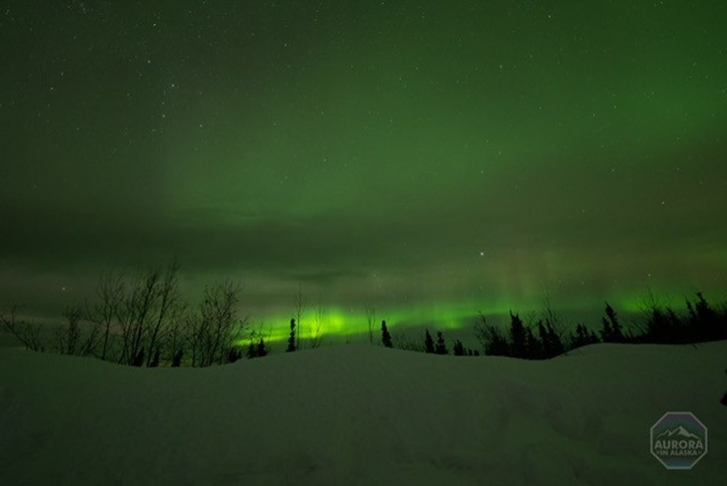 Robert Diercks Hollerorth