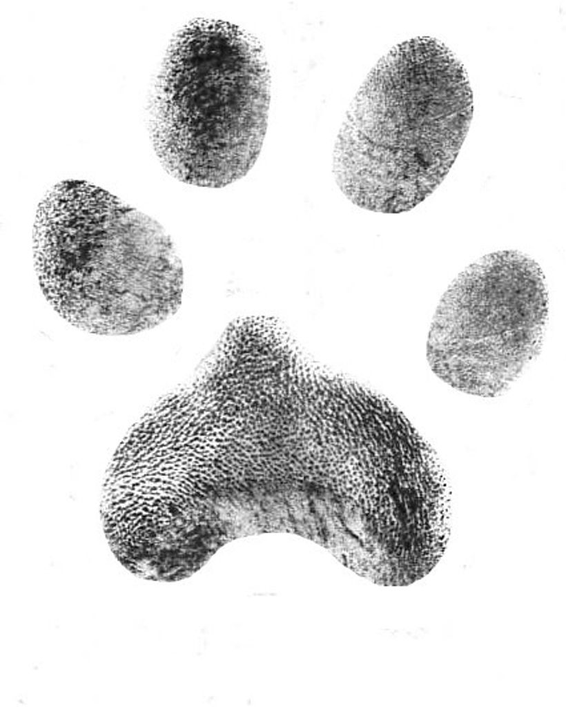 Alex Rockett Profile Photo