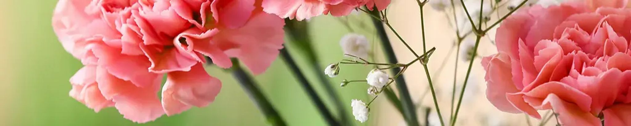 Cover photo for Marie Pauline Arnone's Obituary