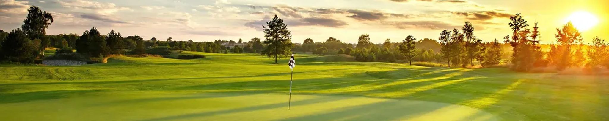 Cover for Dorothy-Ann Thunberg's Obituary