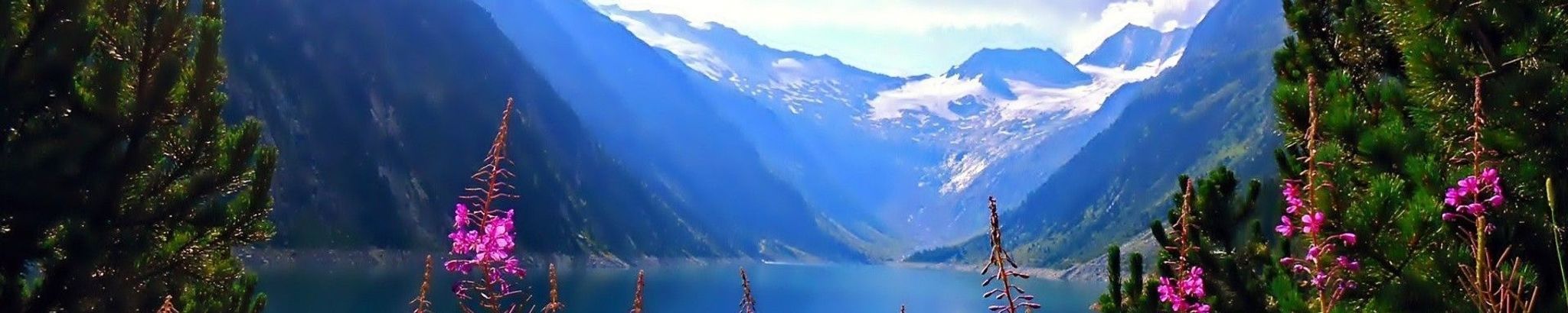 Cover for Karen A. Revolinski's Obituary