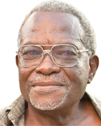 Stephen Oliver Brevett's obituary image