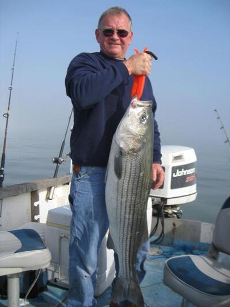Edward L. Schappert Profile Photo