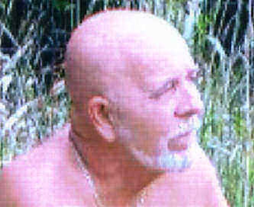 Vincent E. Rost