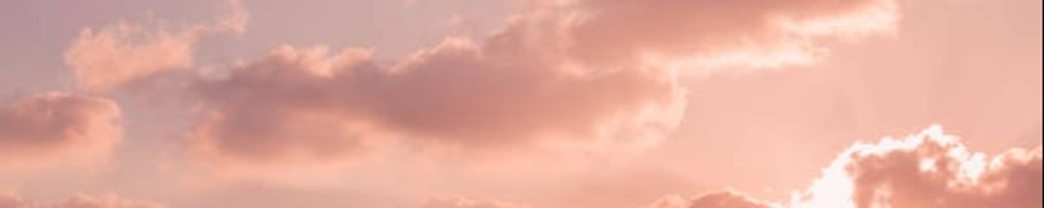 Cover photo for Gina Palomo's Obituary