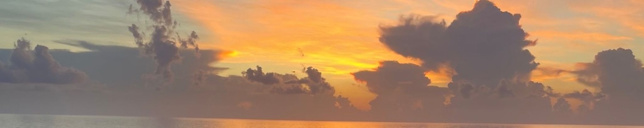 Cover for John L. Brown's Obituary