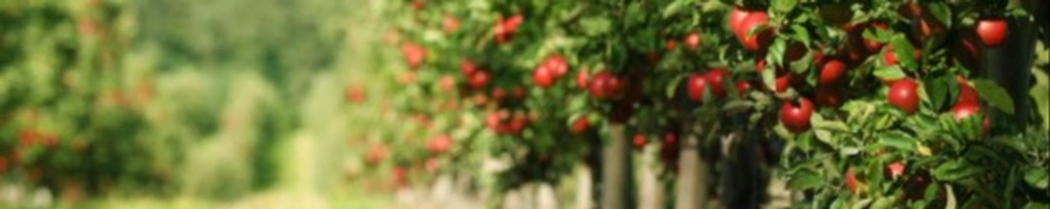 Cover for Gregory Shawn "Greg" Smith's Obituary