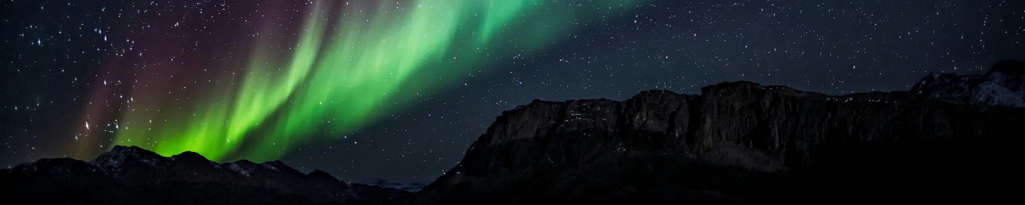 Cover for Richard Albert Wallner's Obituary