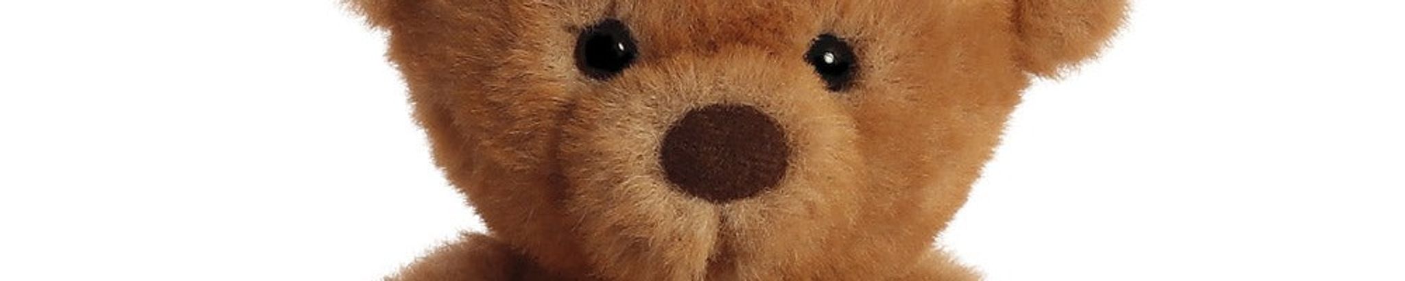 Cover for Claire SueAnn Jordan's Obituary