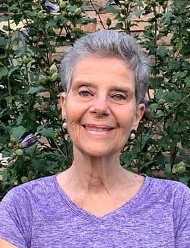 Sue Mercay Profile Photo