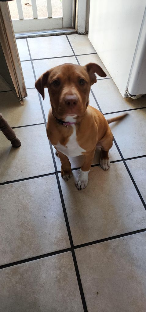 Penny Profile Photo