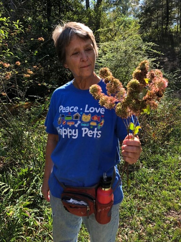 Dr. Danielle Suggs Garrison Profile Photo