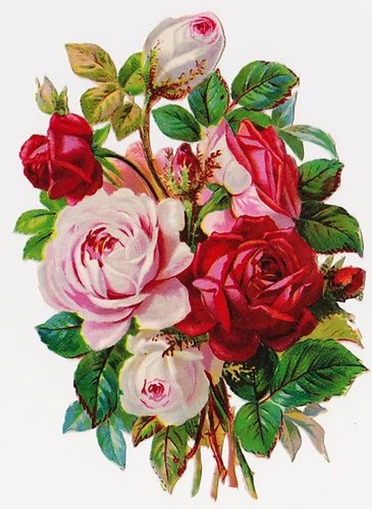 Ruth Hinkins Renner Profile Photo