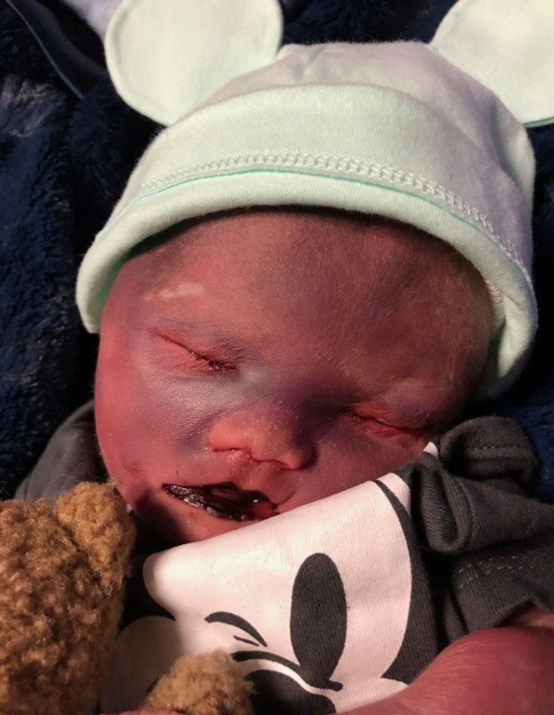 Kaladin Shelton