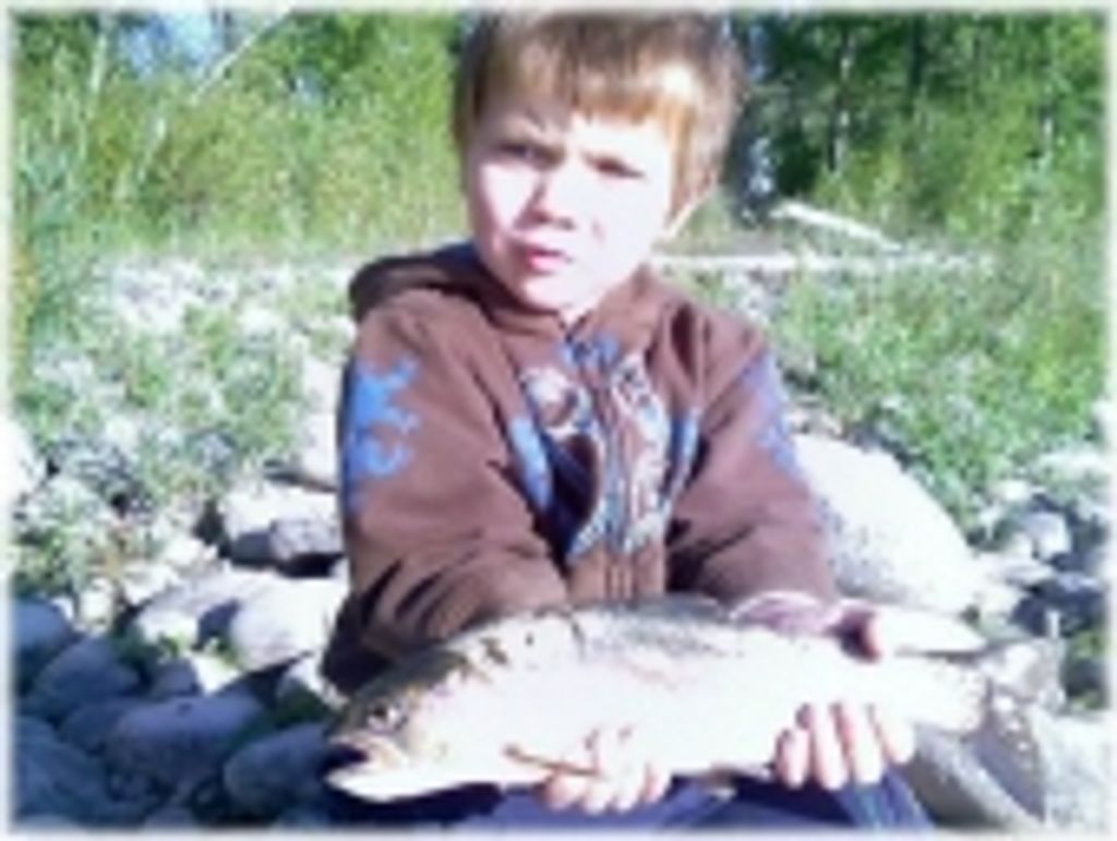 Asher Cain