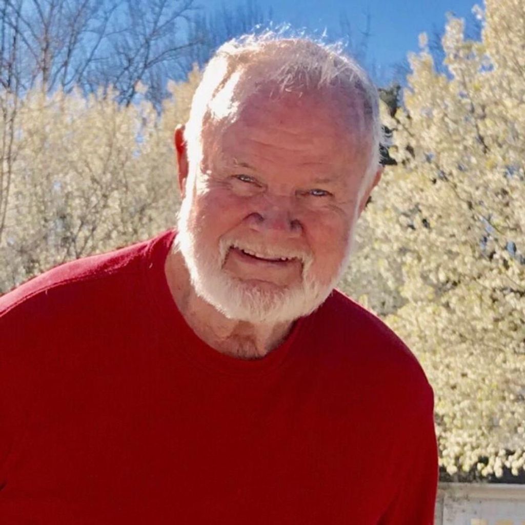 Jamie D. Stricklin