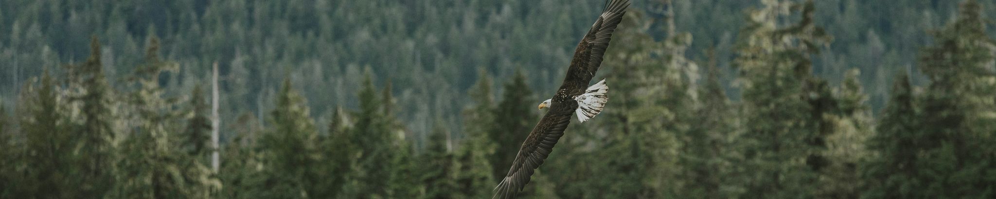 Cover for LeeRoy Newton's Obituary