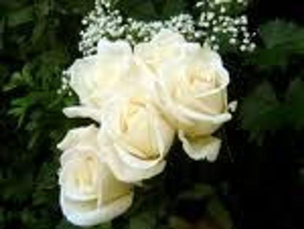 Janet Milsted Wisner