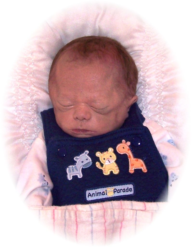 Brody Shawn Ehrlich