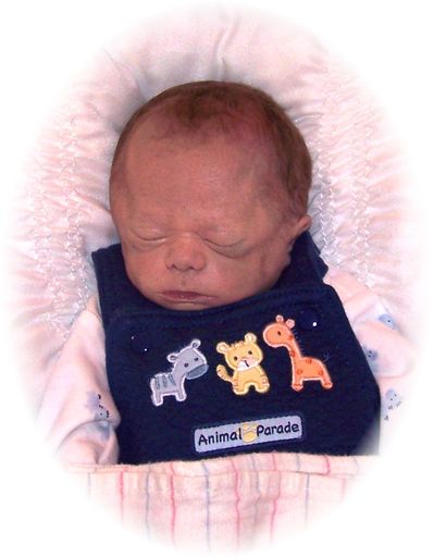 Brody Shawn Ehrlich Profile Photo