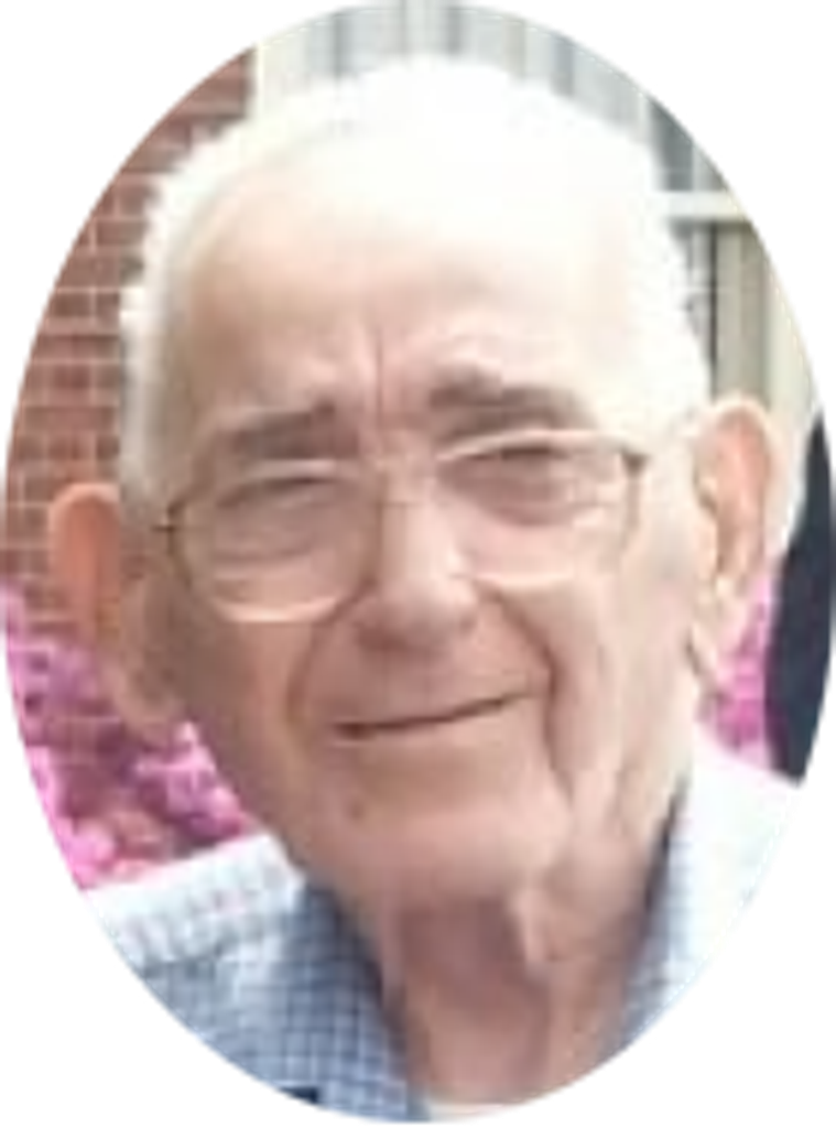 William Dinardo