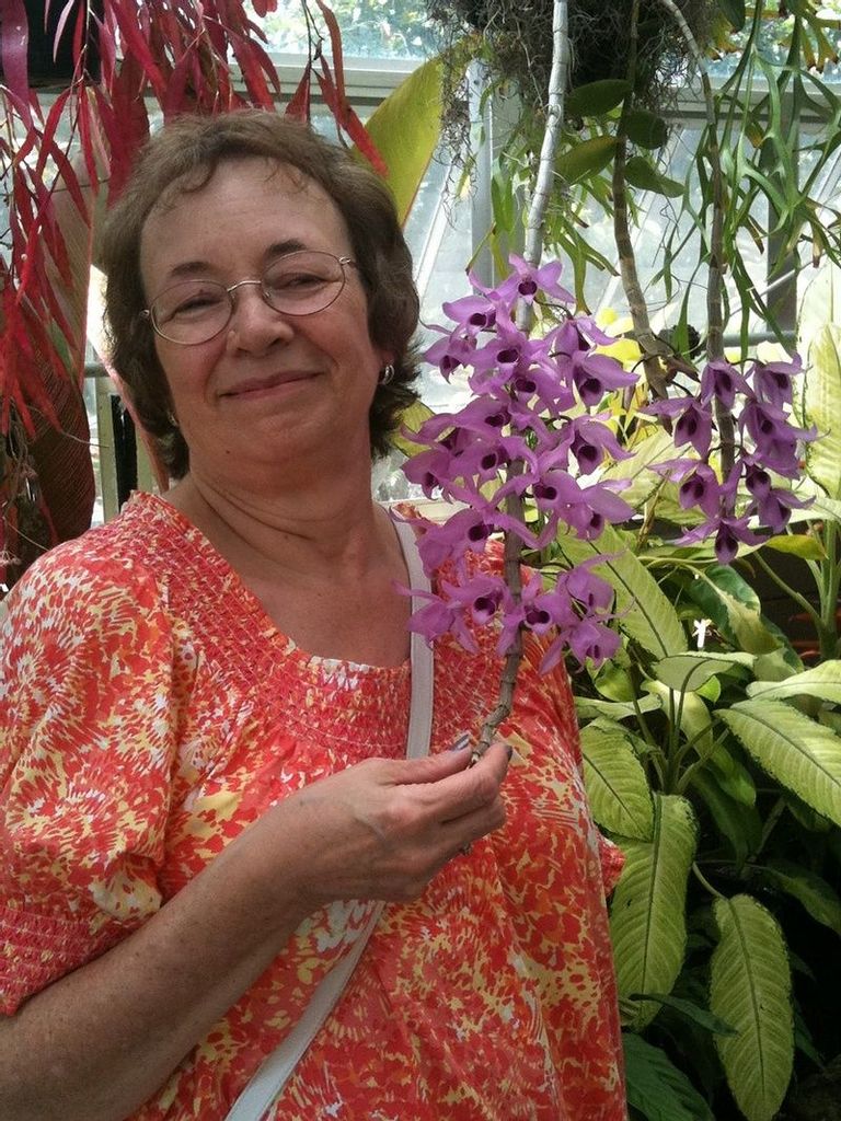 Ann Gail Oakes Profile Photo