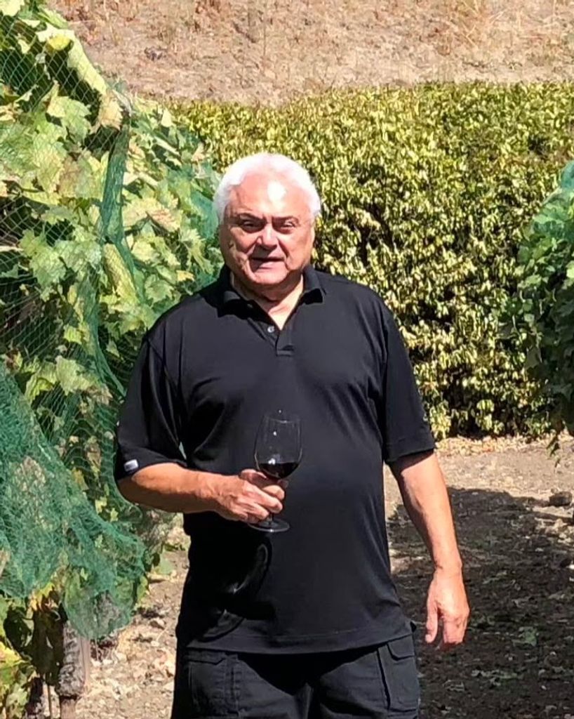 Marino E. DeMeo