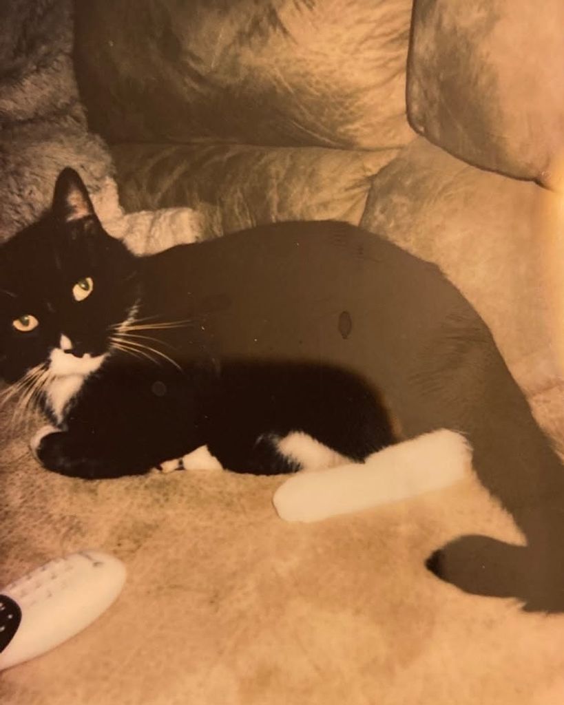 Chubbs Profile Photo