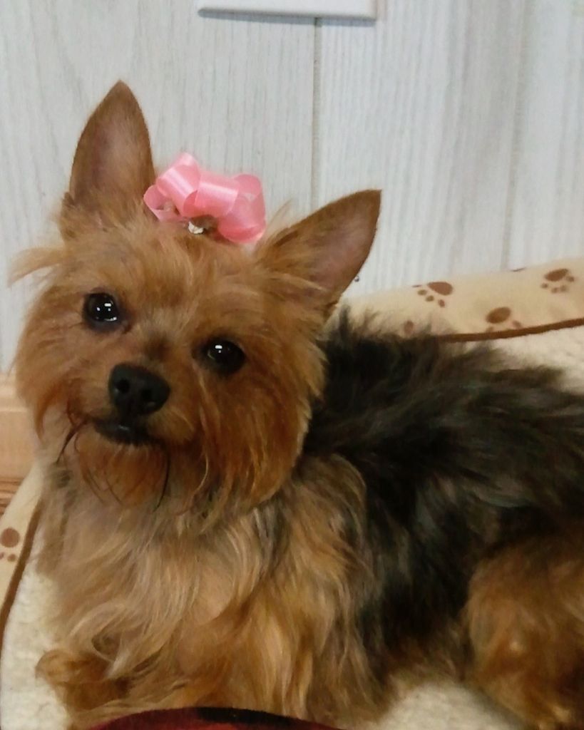 Gidget Mathews Profile Photo