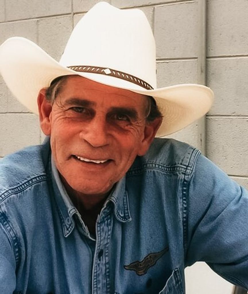 Stacey Larry Haines Profile Photo