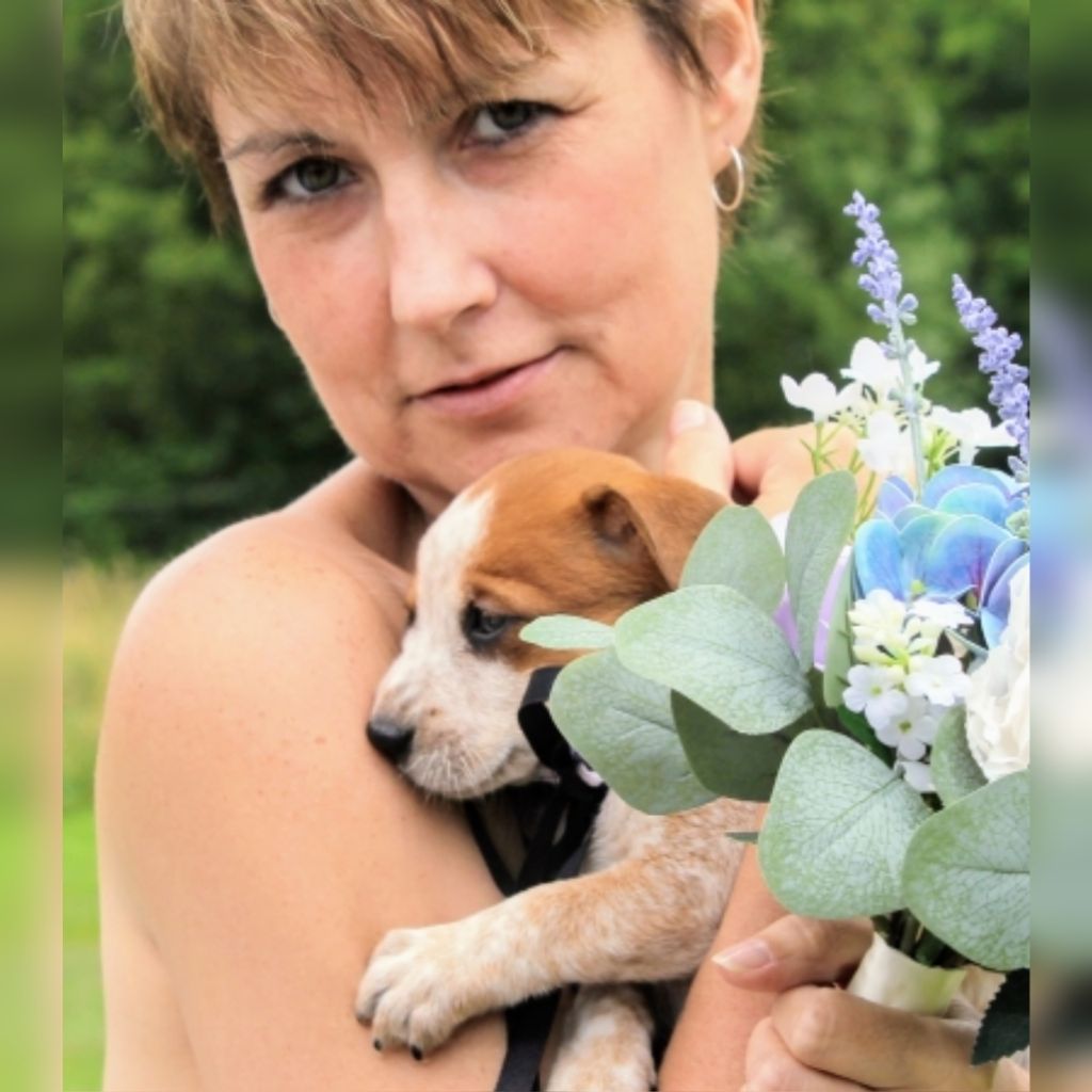 Tina Sharon Stewart (Wood)