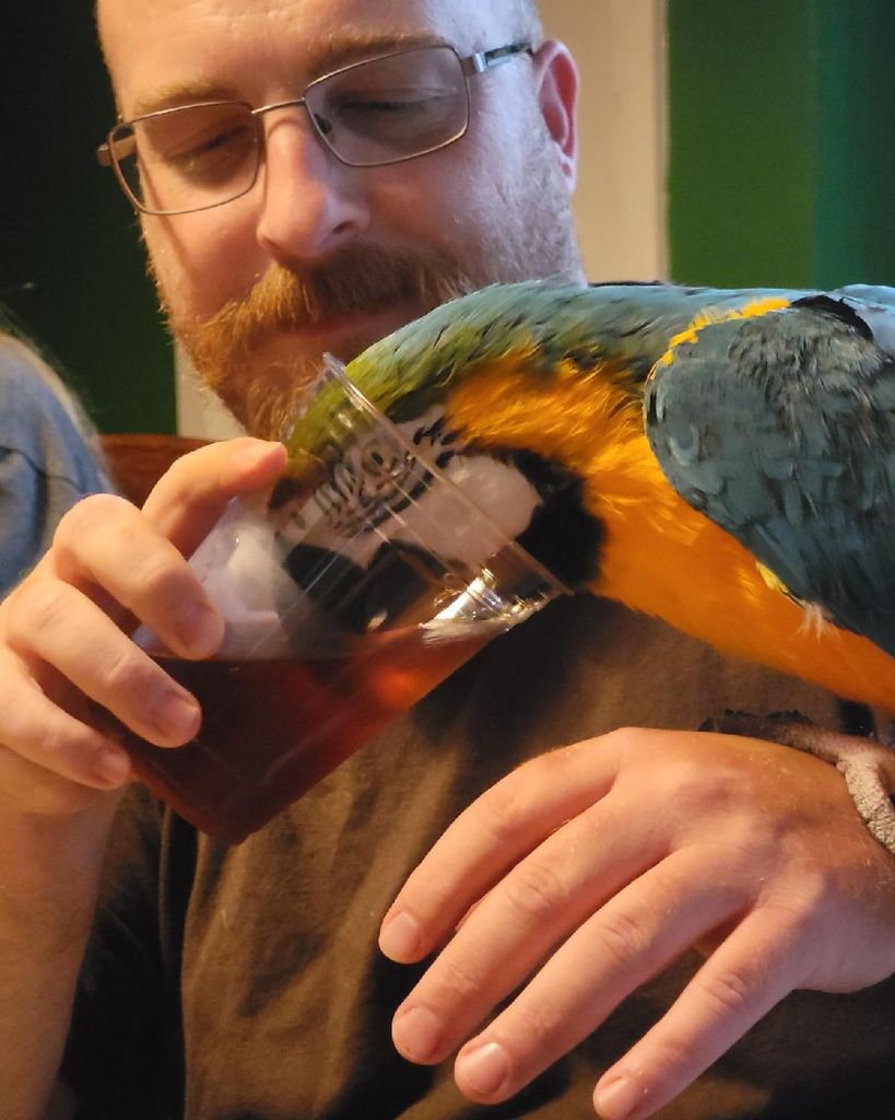 Casey Davis Profile Photo