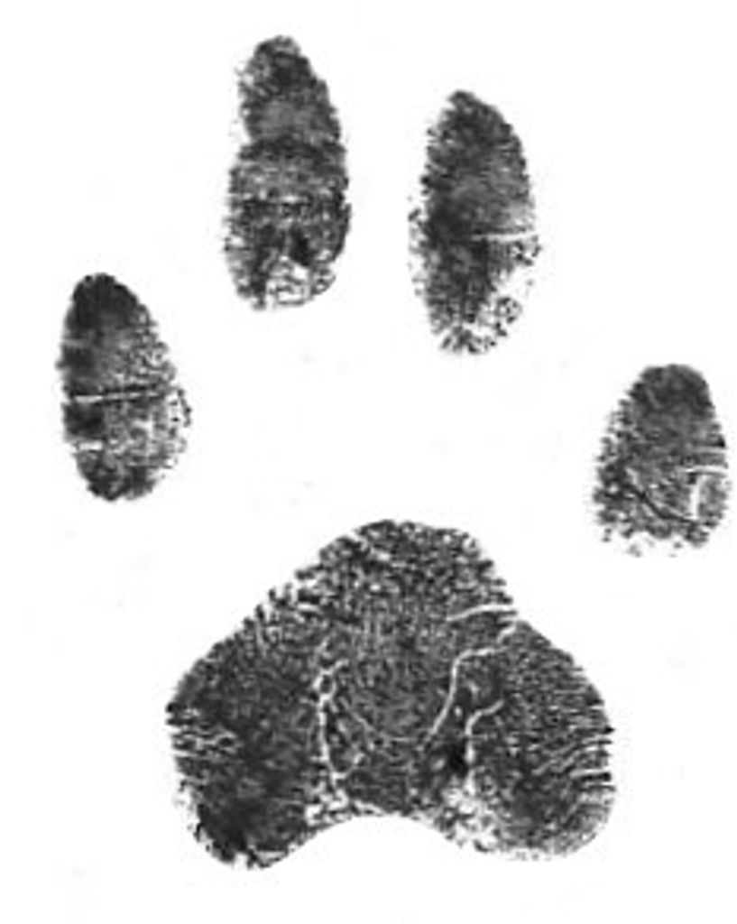 Theodore Phoenix Profile Photo