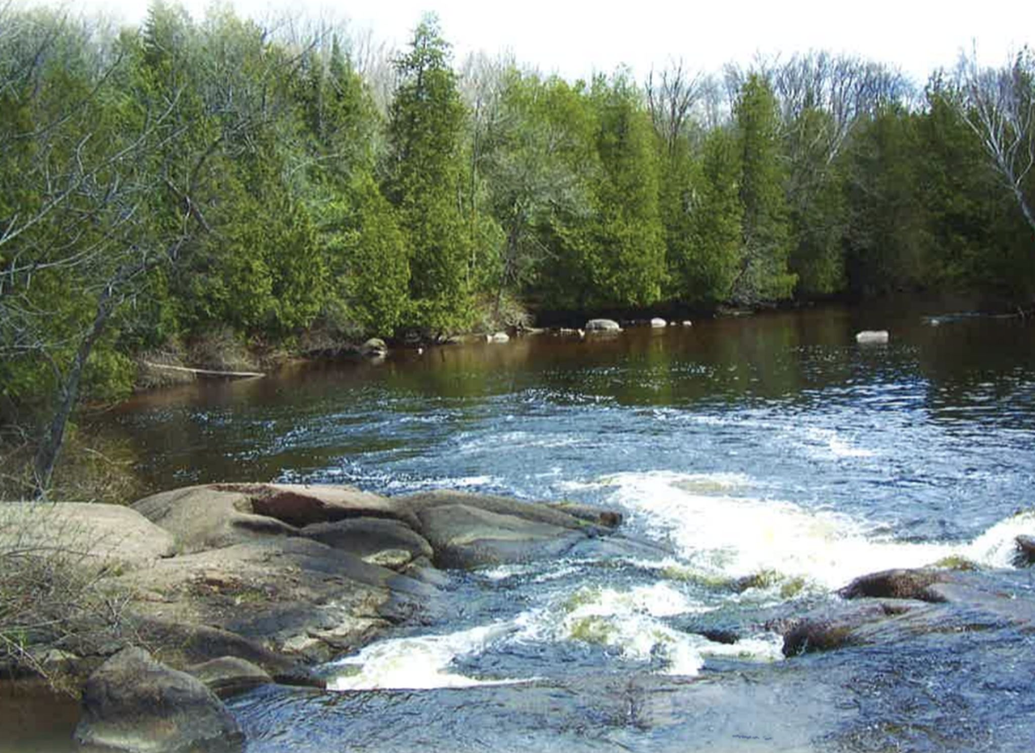 Cover for Thomas Jay Anker's Obituary