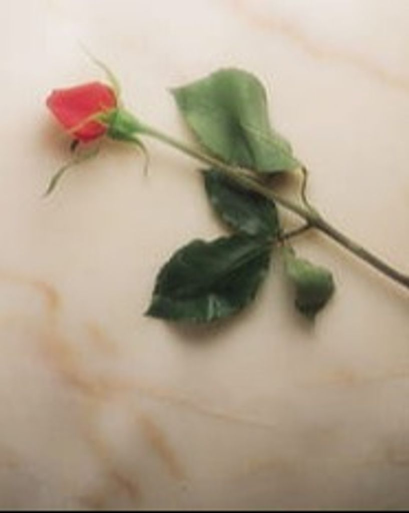 Lorna Elaine Thiebaux