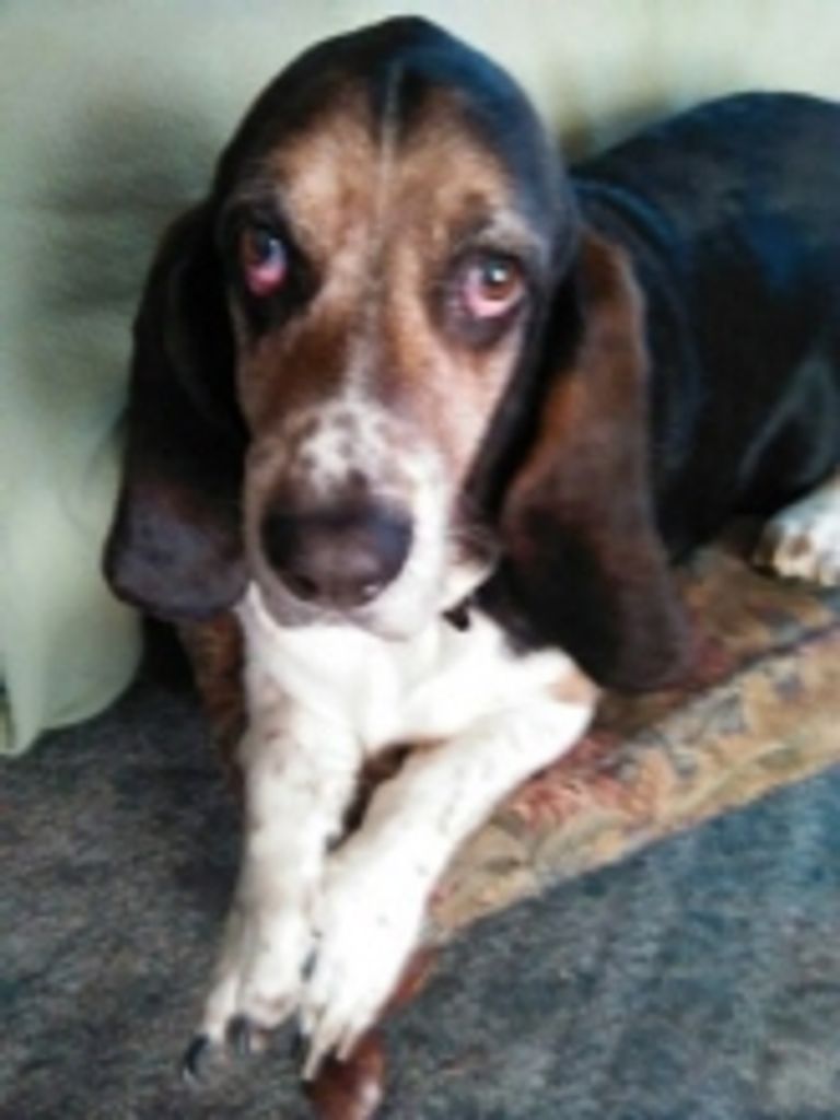 Harold Joslin Profile Photo