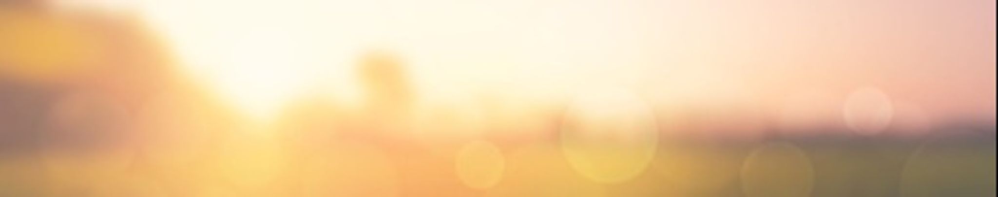 Cover photo for Julia Anne Clark's Obituary