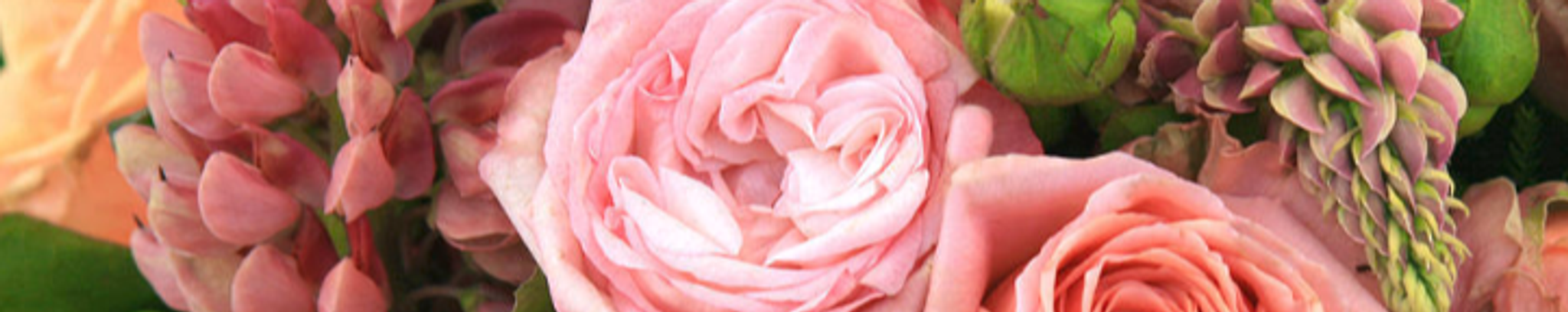 Cover photo for Cathy M. Martinez's Obituary