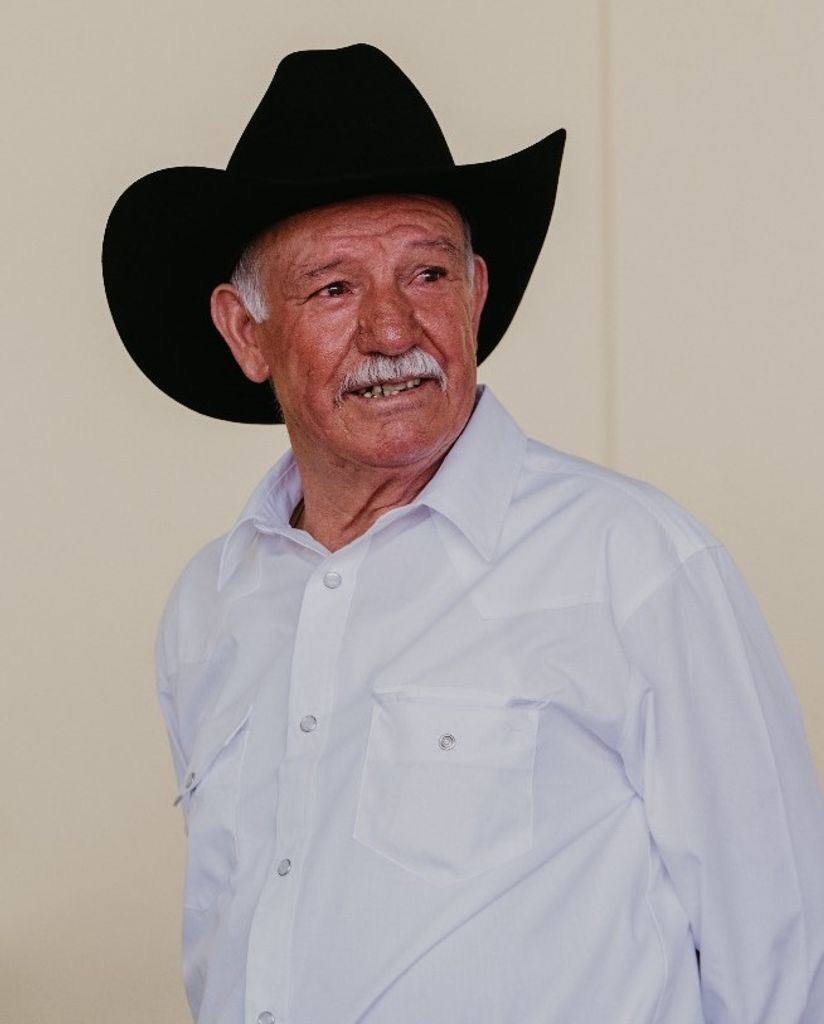 Jesus Navarro Hernandez
