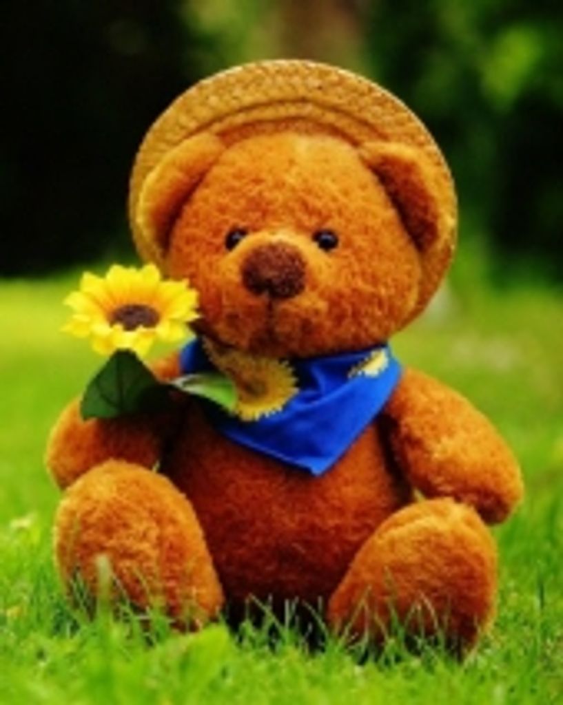 Infant Jerome Mayes, Iii