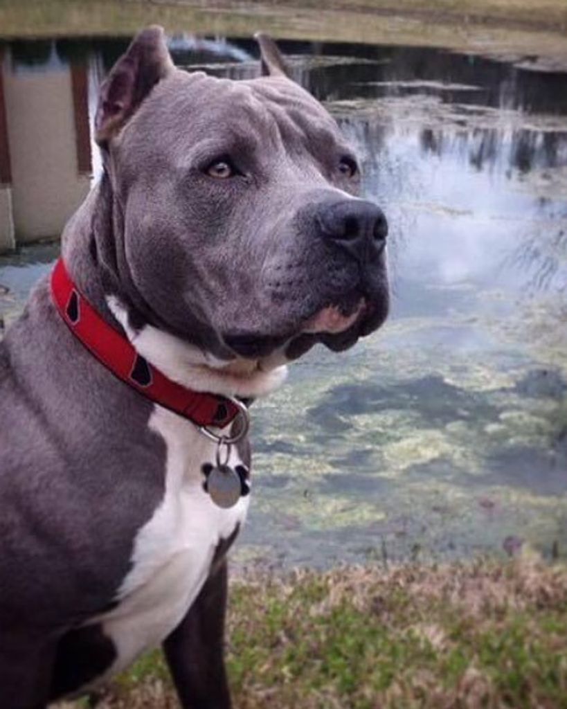 Cain Profile Photo