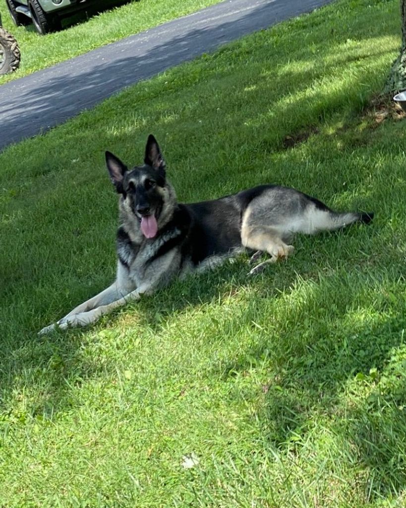 Axel Art Profile Photo