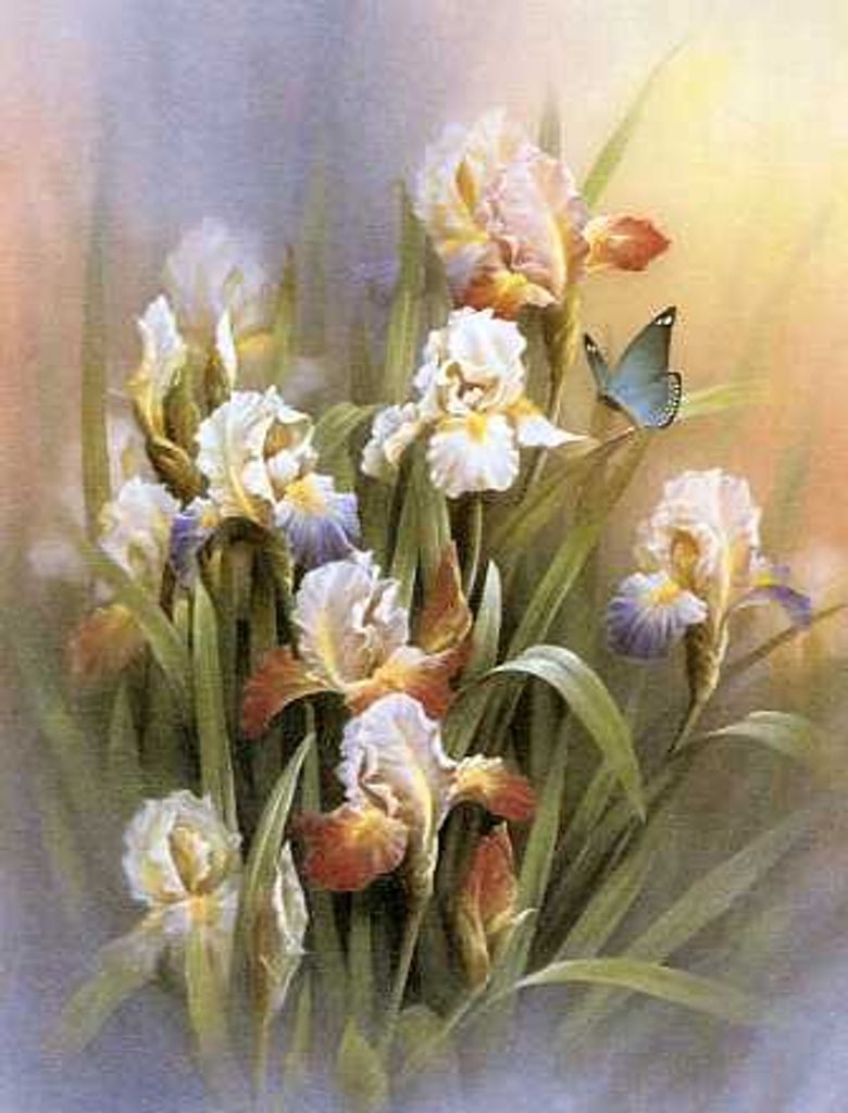 Coralyn Floreta Johnson