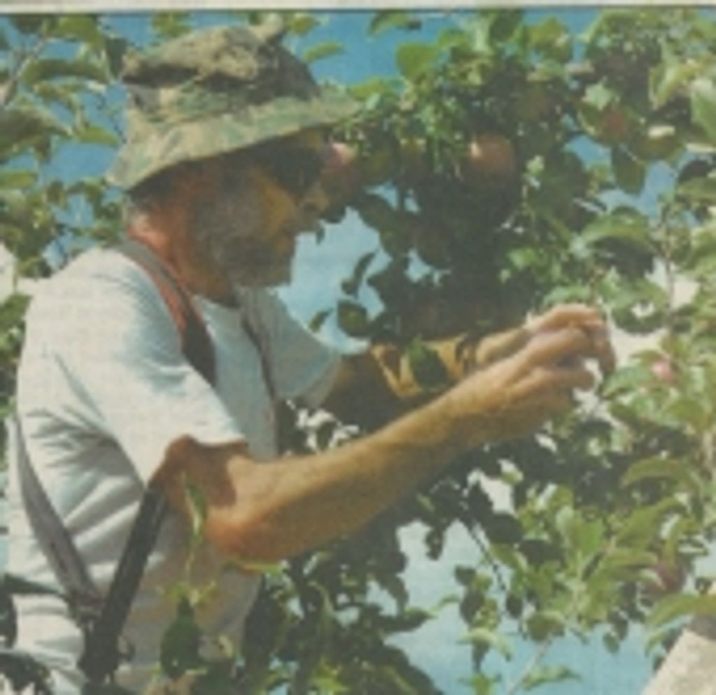 Thomas S. Ellefson Profile Photo
