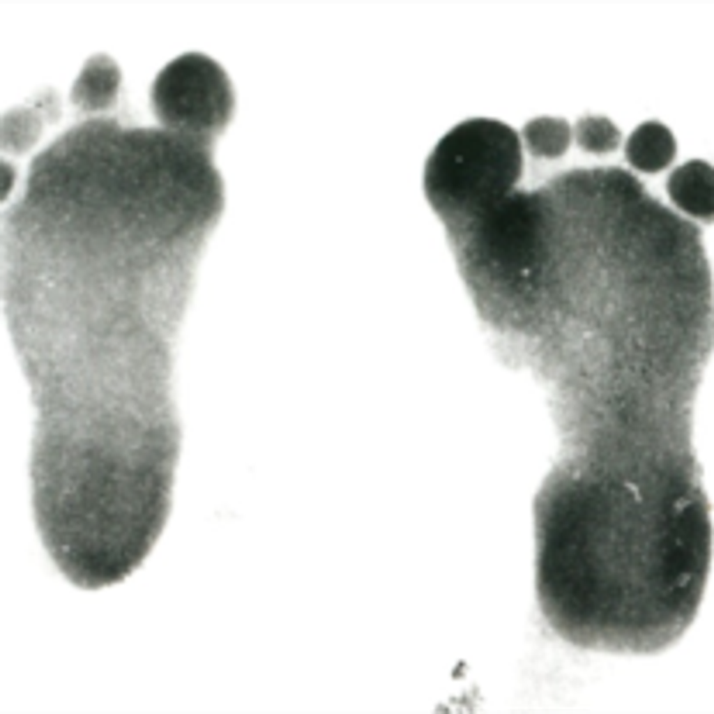 Aiden Jace Wherland