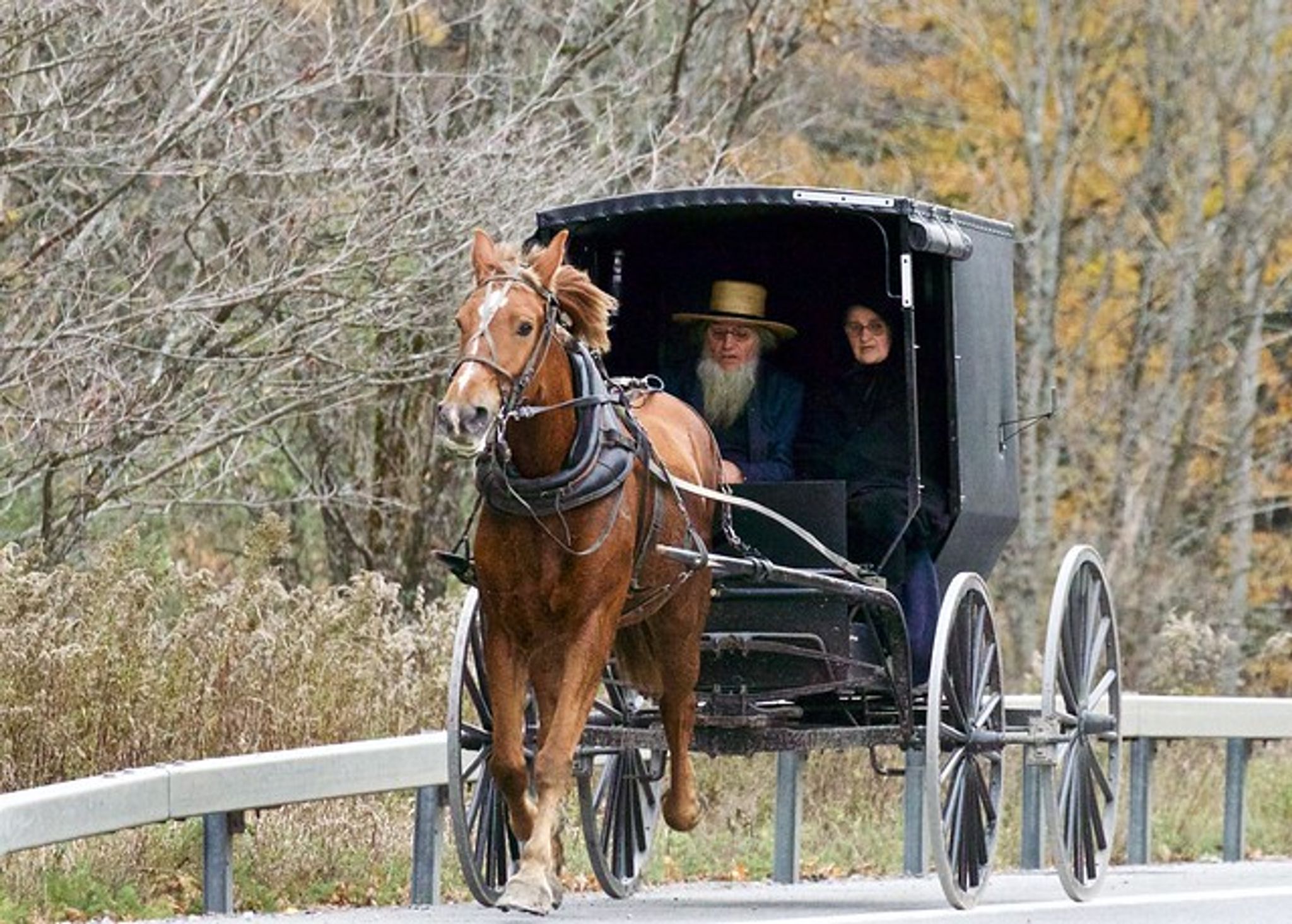 Cover photo for Donna L. Johnson's Obituary
