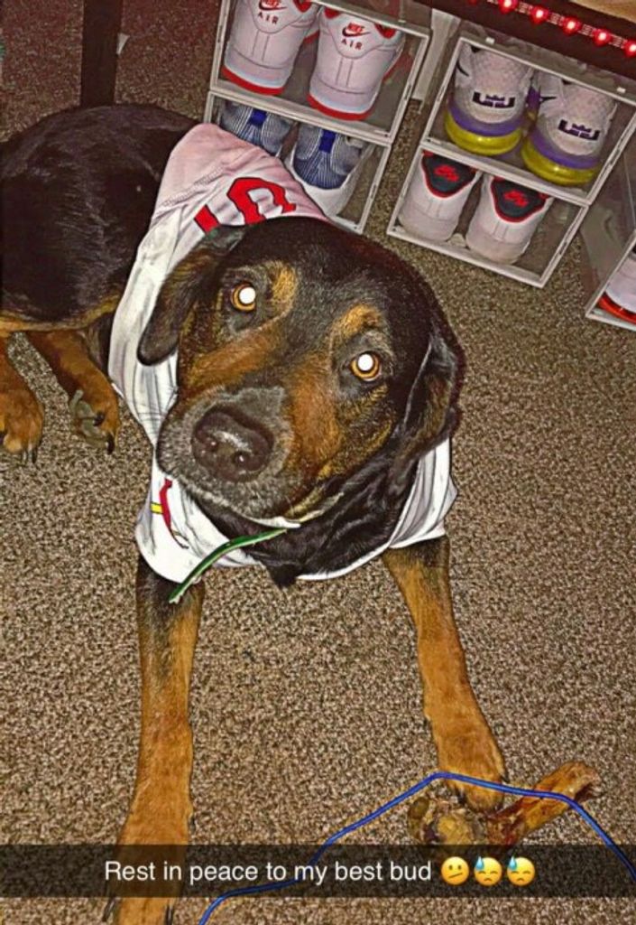 Axel Peterson Profile Photo