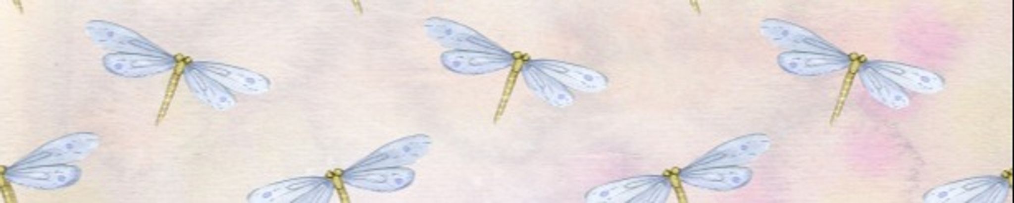 Cover photo for Tanina Lisa Franceschi's Obituary