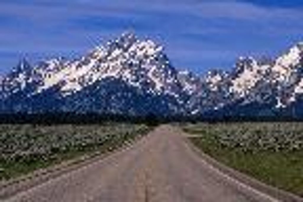 Beauford Bruce Blume