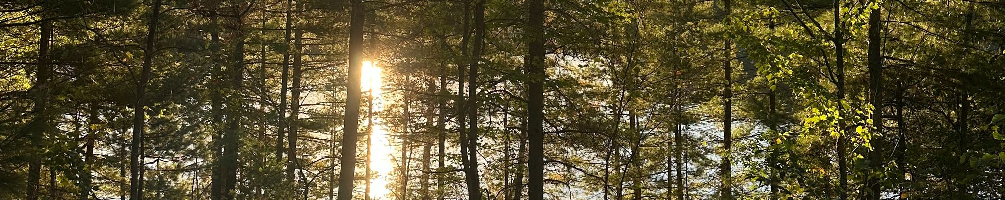 Cover for Lawrence Dell Page's Obituary